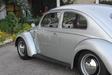 Volkswagen Kfer Typ 11 1955